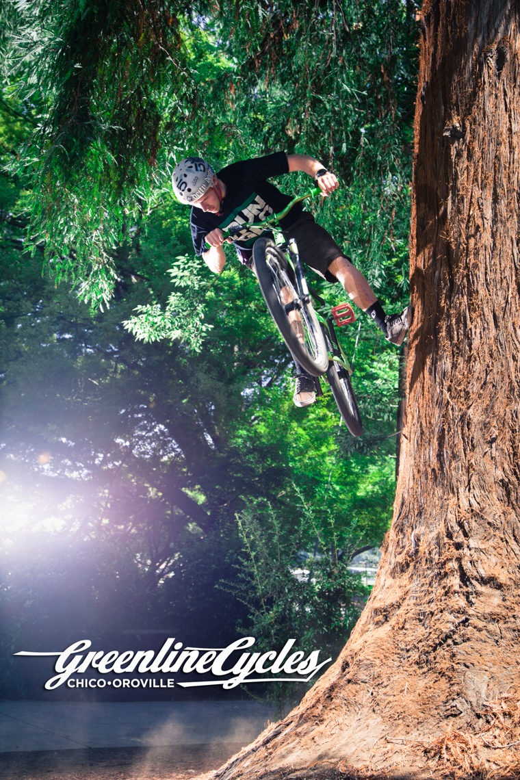Greenline Cycles Marketing 4